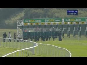 Video preview image for Newmarket 17:05 - Bet365 Fillies' Handicap