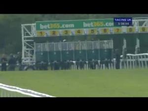 Video preview image for Newmarket 17:35 - Poker At Bet365 E.B.F. Fillies' Handicap