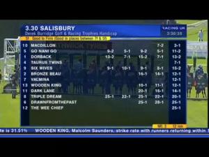 Video preview image for Salisbury 15:30 - Derek Burridge Golf & Racing Trophies Handicap (Seniors' Sprint)