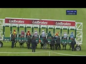 Video preview image for Hamilton Park 17:00 - Weatherbys Private Banking Handicap