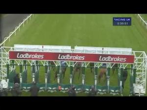 Video preview image for Hamilton Park 17:30 - Bobby Jones Memorial Handicap