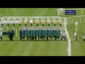 Video preview image for Catterick Bridge 15:00 - Norman Johnson Is Seventy Median Auction Maiden Stakes