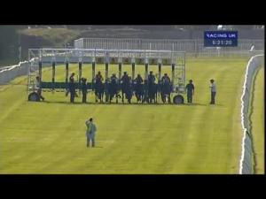 Video preview image for Newbury 18:20 - Knight Frank Apprentice Handicap