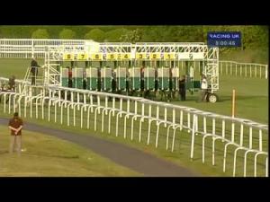 Video preview image for Newbury 20:00 - Betfair Supporting The Mary Hare Foundation Fillies' Handicap (Str)