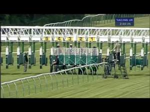 Video preview image for Warwick 14:40 - British Stallion Studs Supporting British Racing E.B.F. Novice Stakes