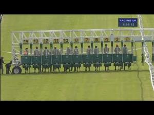 Video preview image for Warwick 16:55 - Bulmers Handicap