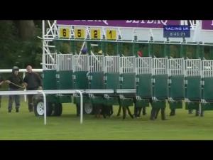 Video preview image for Haydock Park 20:45 - Madness Music Night 20th July Maiden Stakes