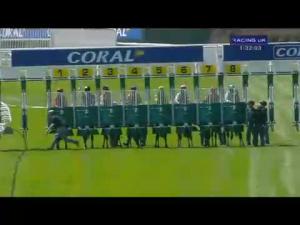 Video preview image for Sandown Park 13:30 - Malcolm Palmer Memorial Handicap