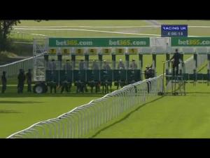 Video preview image for Haydock Park 16:05 - Mobile At bet365.com Nursery