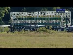 Video preview image for Nottingham 18:00 - Aja Ladies' Handicap (Lady Amateur Riders)