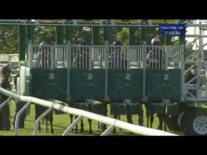 Video preview image for Carlisle 19:45 - Compare Bookmakers With bookmakers.co.uk Nursery