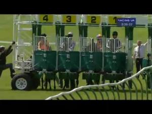 Video preview image for Ayr 14:30 - King Size Pools At totepool.com Fillies' Handicap