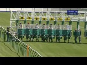 Video preview image for Ayr 14:30 - Irish Stallion Farms E.B.F. / William Hill Maiden Stakes