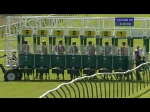 Video preview image for Ayr 16:30 - William Hill Bet On The Move Handicap