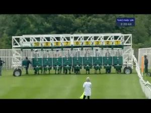 Video preview image for Catterick Bridge 14:20 - yorkshire-outdoors.co.uk Claiming Stakes