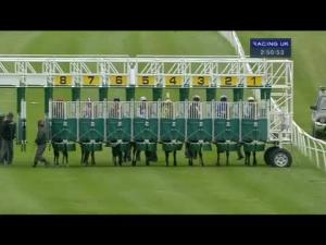 Video preview image for Catterick Bridge 14:50 - 33 Racecourses Live On Sky 432 Median Auction Maiden Stakes
