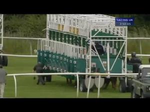 Video preview image for Catterick Bridge 15:50 - 5th Regiment Royal Artillery Heimdall Handicap (For The Turmeric Challenge Trophy)