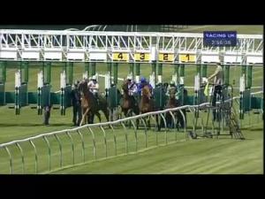 Video preview image for Warwick 14:55 - Cdi Group E.B.F. Fillies' Handicap