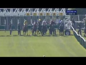 Video preview image for Warwick 15:30 - N G Bailey Handicap