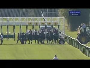 Video preview image for Warwick 16:05 - Royce Communications Premier Partner Handicap