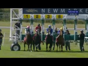Video preview image for Newmarket 16:25 - Insure Pink Stubbs Stakes (Listed)