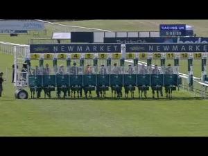 Video preview image for Newmarket 17:00 - Frontline Bathrooms Handicap