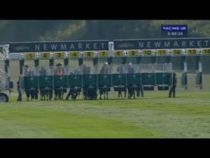 Video preview image for Newmarket 17:35 - Egerton House Stables Handicap