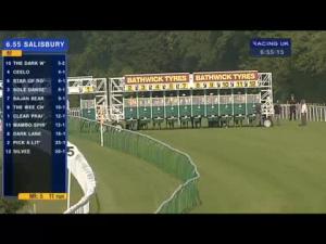 Video preview image for Salisbury 18:55 - Danny McNab 50 Years At Salisbury Handicap