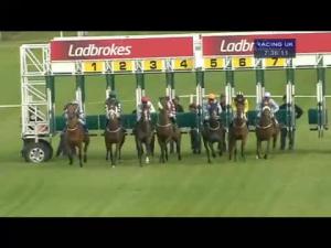 Video preview image for Hamilton Park 19:15 - Bill and David McHarg Memorial Handicap