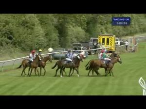 Video preview image for Perth 15:00 - Totequadpot Four Places In Four Races Handicap Hurdle