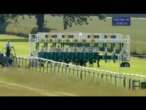Video preview image for Beverley 15:30 - g1racingtrends.com Handicap