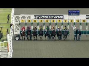 Video preview image for Kempton Park 17:30 - Sparks Medical Research Classified Stakes