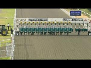 Video preview image for Kempton Park 18:30 - BetVictor Open Championships 8 Places Exclusive Handicap