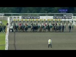 Video preview image for Kempton Park 21:00 - BetVictor 8 Places On The Open Fillies' Handicap