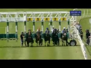 Video preview image for Catterick Bridge 14:10 - yorkshire-outdoors.co.uk Selling Stakes