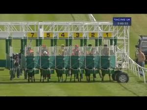 Video preview image for Catterick Bridge 15:40 - Eat Sleep Drink At Nags Head Pickhill Handicap (Qualifier For The Catterick Twelve Furlong Series Final)