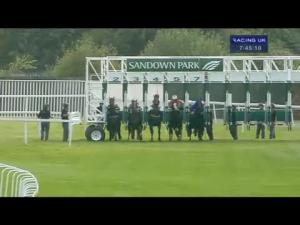 Video preview image for Sandown Park 19:40 - Xl Group Handicap
