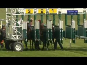 Video preview image for Haydock Park 16:25 - Brown Shipley Wealth Well Managed Handicap