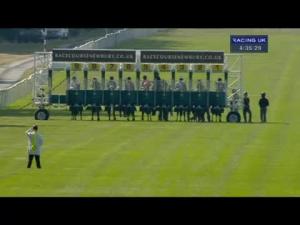 Video preview image for Newbury 16:35 - Pertemps Sheridan Maine Handicap