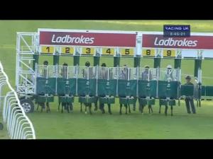 Video preview image for Hamilton Park 20:45 - John Smith's Handicap