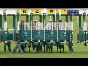 Video preview image for Newbury 13:35 - Racing UK Profits All Returned To Racing Conditions Stakes (Str)