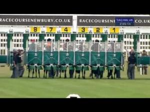 Video preview image for Newbury 14:05 - Choose E.B.F. Nominated' Fillies Handicap (Str)