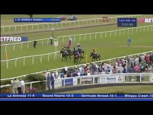 Video preview image for Market Rasen 14:20 - Betfred TV Handicap Hurdle