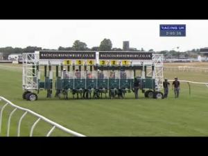 Video preview image for Newbury 14:40 - Sharps Brewery Steventon Stakes (Listed)