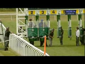 Video preview image for Newmarket 15:05 - Lettergold Maiden Stakes