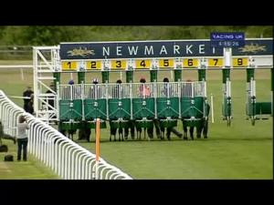 Video preview image for Newmarket 16:15 - Tamdown Shell & Core Maiden Stakes