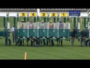 Video preview image for Newbury 16:25 - Luck Greayer Bloodstock Shipping Conditions Stakes (Str)