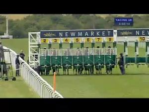 Video preview image for Newmarket 16:50 - Joe & Sarah Memorial Handicap