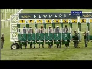 Video preview image for Newmarket 17:20 - Triconnex Handicap