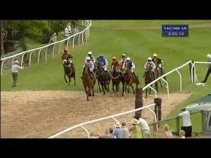 Video preview image for Cartmel 17:35 - Willow Water Mares Handicap Hurdle